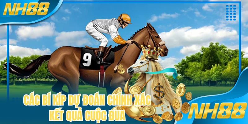 Các bí kíp dự đoán chính xác kết quả cuộc đua