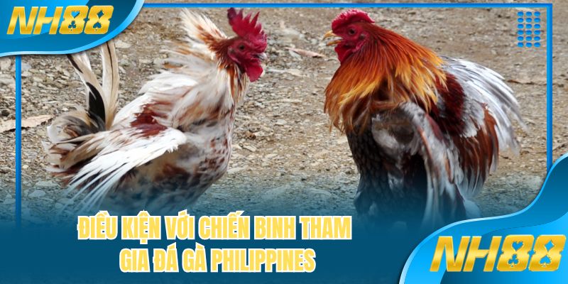 Điều kiện với chiến binh tham gia đá gà Philippines