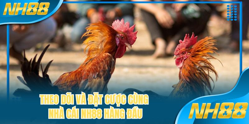 Theo dõi và đặt cược cùng nhà cái NH88 hàng đầu