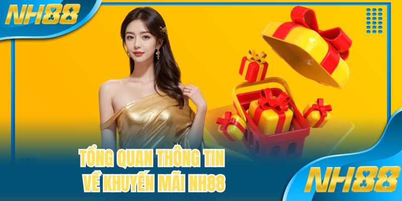 Tổng quan thông tin về khuyến mãi NH88